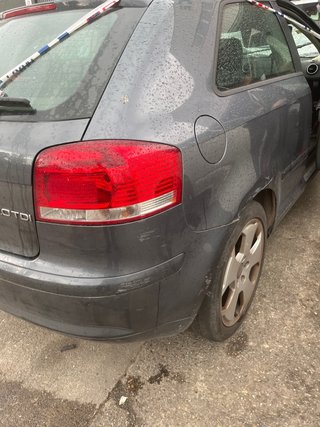 Despiece Audi A3 8P 2.0 TDI BKD