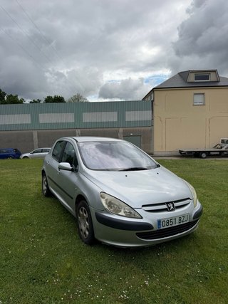 Peugeot 307 2002
