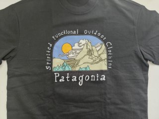 ✔Set Patagonia Nero T-shirt e Shorts✔