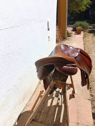 Silla de salto Forestier 17,5"