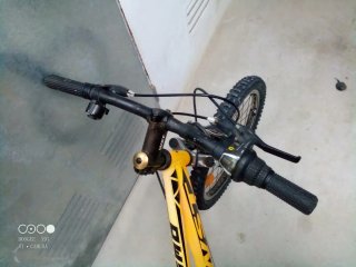 Bicicleta Infantil Rodado 20
