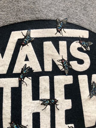 Felpa con cappuccio Vans Grigia Logo con mosche