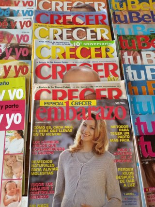 Lote Revistas Bebé, Crecer y Padres Hoy