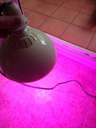 Kit de cultivo plantas
