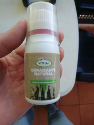 Kit de cultivo plantas