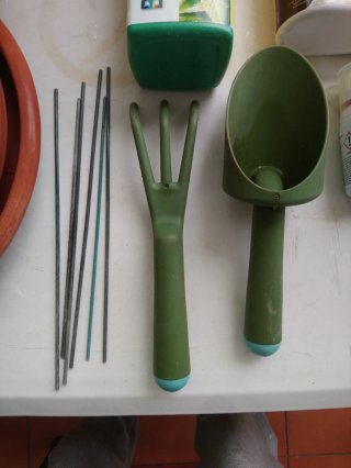 Kit de cultivo plantas