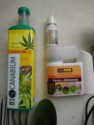 Kit de cultivo plantas