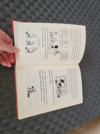 Diario de Greg Un pringao total