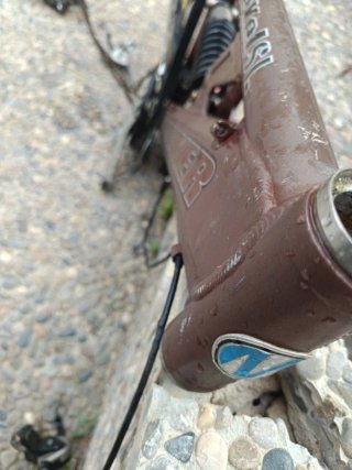 Cuadro BTT Descenso Mondraker