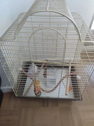 Jaula para aves con accesorios