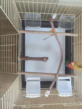 Jaula para aves con accesorios