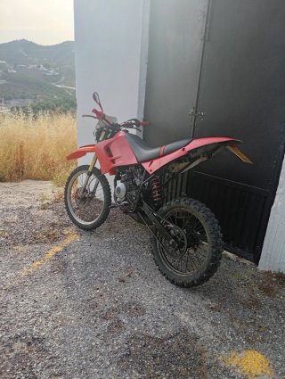 Rieju RR 50