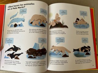 ¿Qué animal quieres ser de mayor?