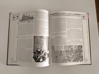 El señor de los anillos tierra media