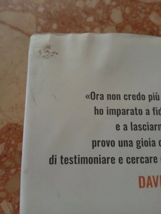 Libro Tutto ma prete mai di Davide Banzato