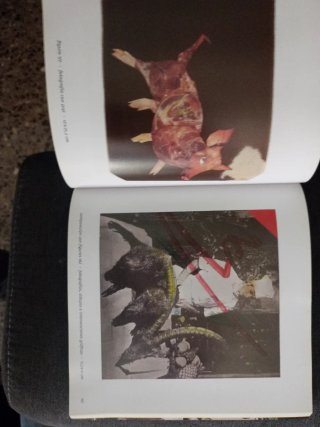 Iconografia moderna 1980 - 1985 fotomontajes