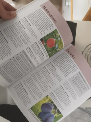 Cultivo en macetas 30 proyectos paso a paso de ...