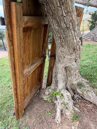 Porticones de madera rústica