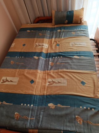 2 Sofás Cama(se venden juntos o separados)