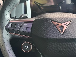 CUPRA Terramar 1.5 TSI eHybrid 204 CV DSG Beyond