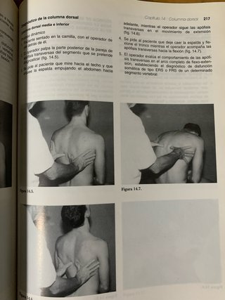 Principios y Practica de la Medicina Manual