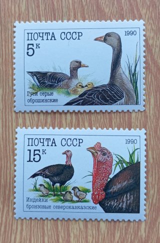 Sellos Búhos y Aves de corral Unión Soviética