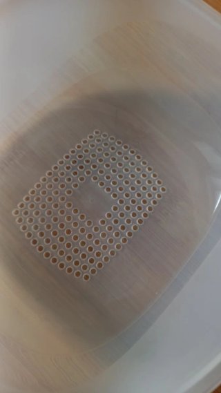 Porta formaggio Tupperware bianco