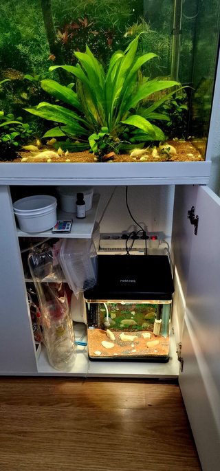Acuario Eheim Vivaline LED 240 con mueble BLANCO
