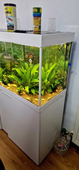 Acuario Eheim Vivaline LED 240 con mueble BLANCO
