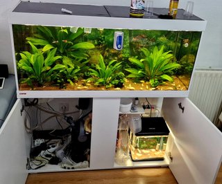 Acuario Eheim Vivaline LED 240 con mueble BLANCO