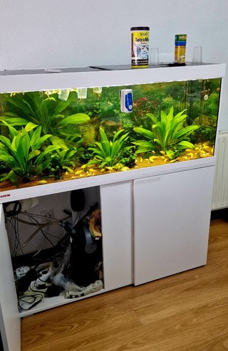 Acuario Eheim Vivaline LED 240 con mueble BLANCO