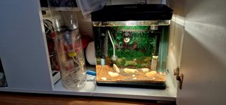 Acuario Eheim Vivaline LED 240 con mueble BLANCO