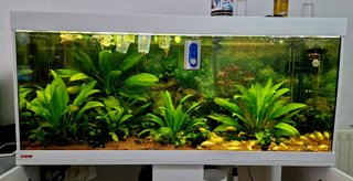 Acuario Eheim Vivaline LED 240 con mueble BLANCO