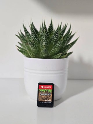 Minecraft Nintendo Switch