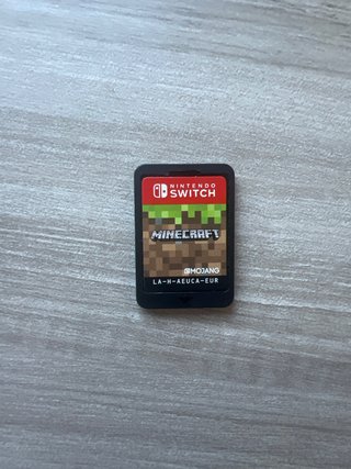 Minecraft Nintendo Switch