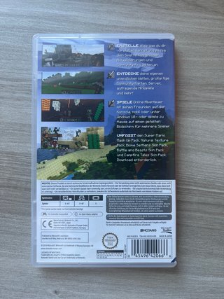 Minecraft Nintendo Switch
