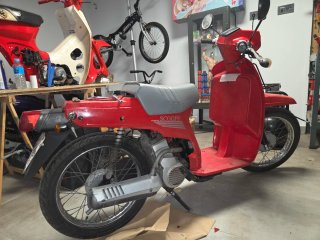 Honda Scoopy 75cc Roja