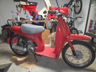 Honda Scoopy 75cc Roja
