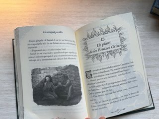 La bruixa de les cendres