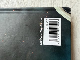 La bruixa de les cendres