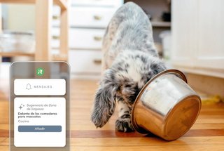Robot aspirador Roomba Combo j7+ con autovaciado