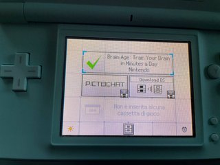 Nintendo DS Brain Age Gioco