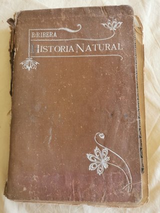 Historia natural E. Ribera