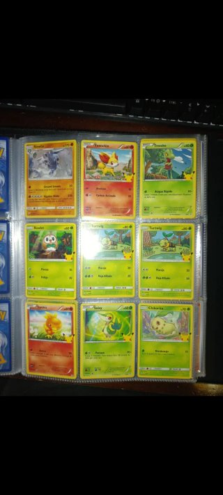 Cartas pokemon