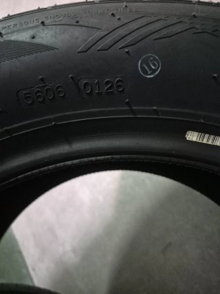 225 55 R16 99Y NANKANG AS-2+