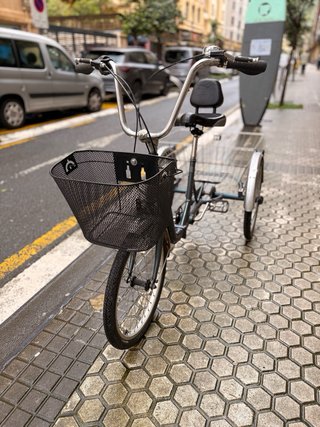 Triciclo Monty con cesta