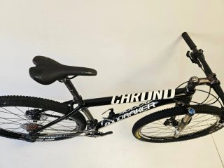 Mondraker Chrono 29 L