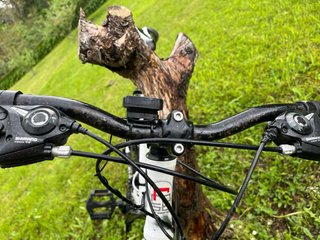 Bicicleta de montaña