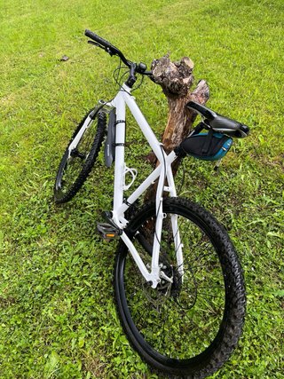 Bicicleta de montaña