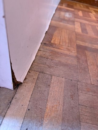 Cama nido blanca con cajón